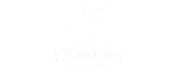 logo valentim